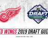Red Wings 2019 Draft Guide: Targets, Strategy & More