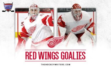 Detroit Red Wings Goalies: A Deep Dive Into Their Goals Against