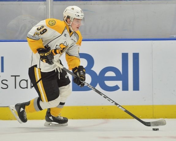 Jamieson Rees, Sarnia Sting