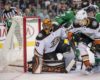 The 5 Best NHL Backups