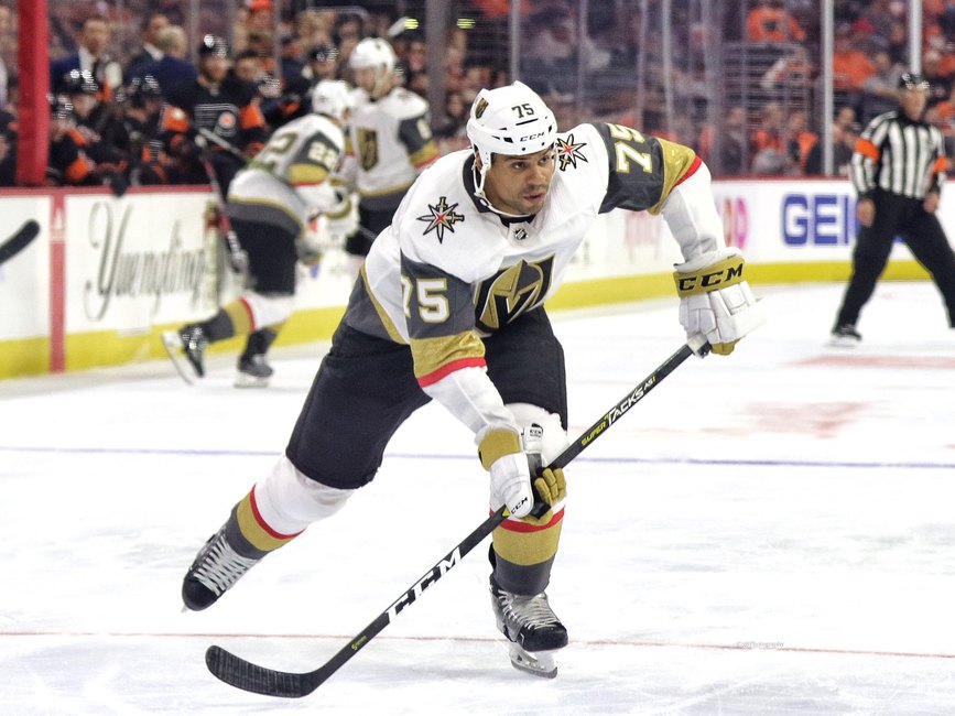 Ryan Reaves Vegas Golden Knights