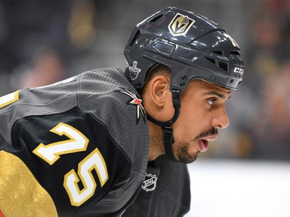 Vegas Golden Knights right wing Ryan Reaves