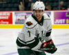 AHL Central News: Wild Take Stranglehold Over Admirals