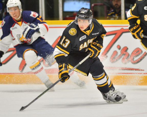 Sasha Chmelevski, Sarnia Sting, OHL