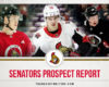 Senators Prospect Report - First Quarter