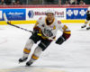 AHL Central News: Top 3 Starting to Pull Away