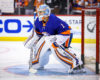 Red Wings Have a "1B" Goaltender in Thomas Greiss