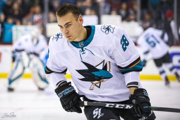 Timo Meier San Jose Sharks