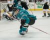 Bill King Perfectly Explains the San Jose Sharks