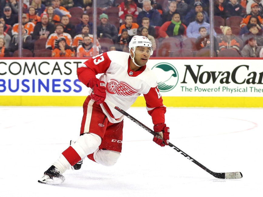 Meet new Red Wing Trevor Daley