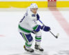New Faces Highlight Red Wings' Defensive Upgrades
