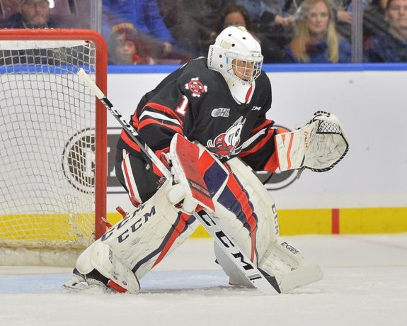 Tucker Tynan Niagara IceDogs