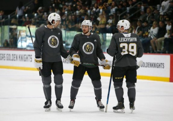 Vegas Golden Knights Charles-Antoine Roy Lucas Elvenes Jake Leschyshyn