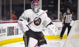 Capitals' Vanecek Emerges as Likely Backup for Next Season
