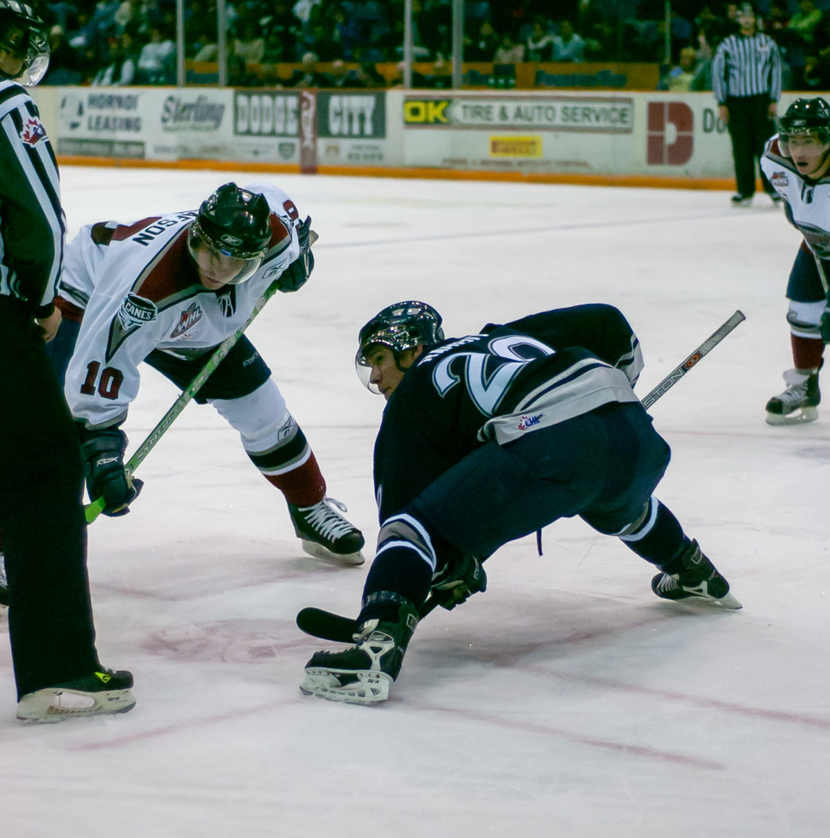 Wacey Rabbit Saskatoon Blades