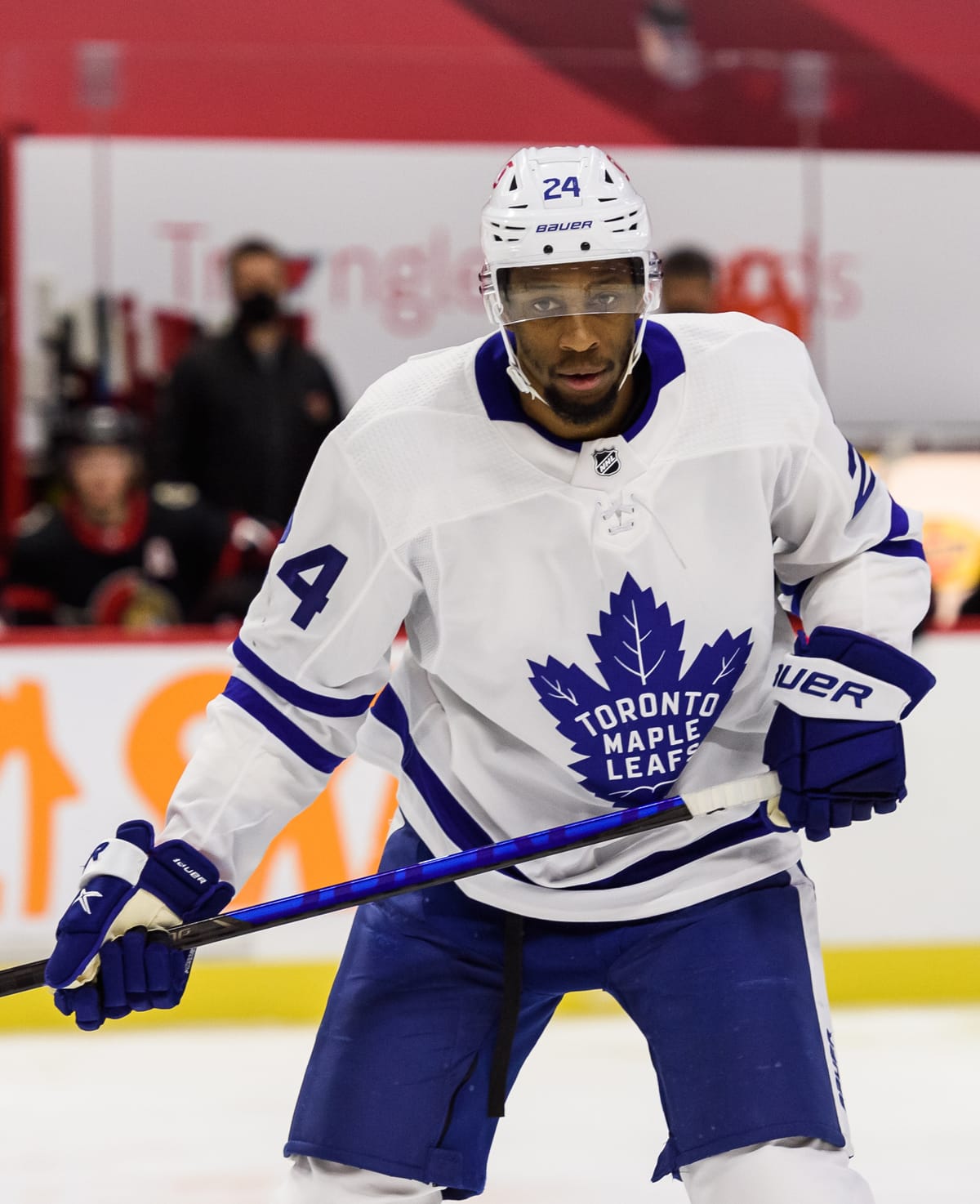 tor maple leafs news