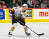 AHL Central News: Wolves Double Up on Home Ice