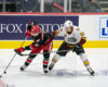 AHL Central News: The Stretch Run Begins