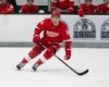 The Grind Line: Red Wings 2019-20 Breakout Candidates