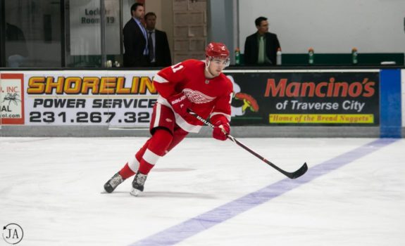 Filip Zadina of the Detroit Red Wings.