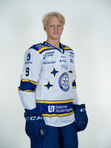 Emil Heineman Leksands IF J20