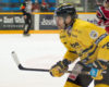 Petteri Nokelainen Defining Persistence in His Career