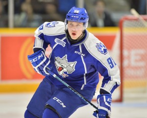 Dmitry Sokolov of the Sudbury Wolves