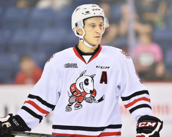 Jordan Maletta, OHL, Niagara Icedogs