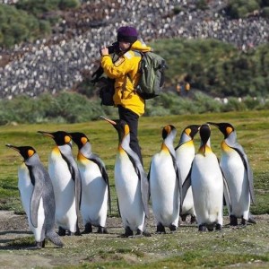 Did she root for the penguins?