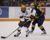 Iowa Wild Forwards Anas & Kloos Making Their Mark