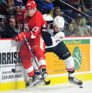 Windsor Spitfires captain Patrick Sanvido (#2). Dave Jewell/THW