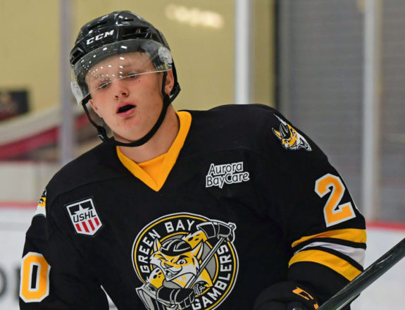 Casey Mittelstadt