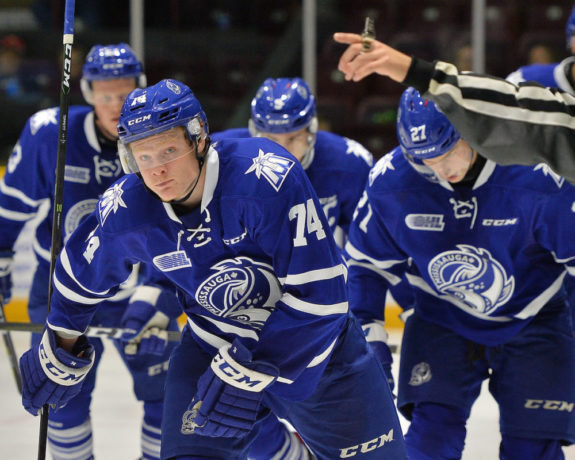 Mississauga Steelheads