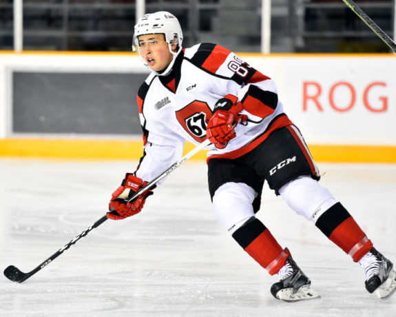 Sasha Chmelevski, OHL, Ottawa 67's, 2017 NHL Draft