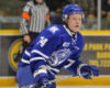 2019 World Junior Roster Breakdown by NHL Team