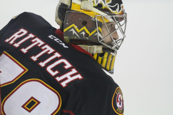 Stockton Heat goaltender David Rittich