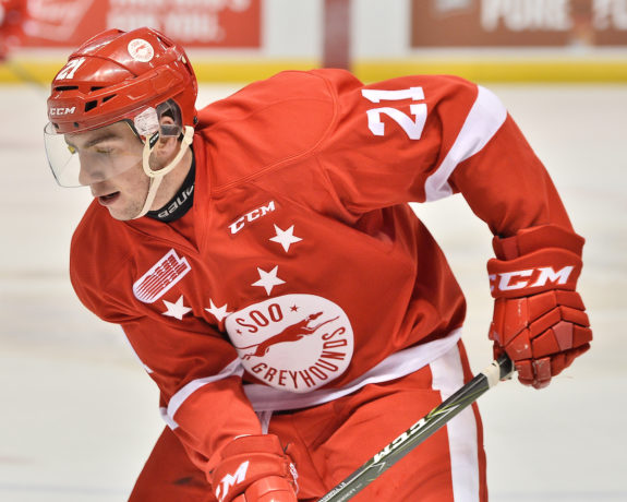 Conor Timmins, OHL, Sault Ste. Marie Greyhounds