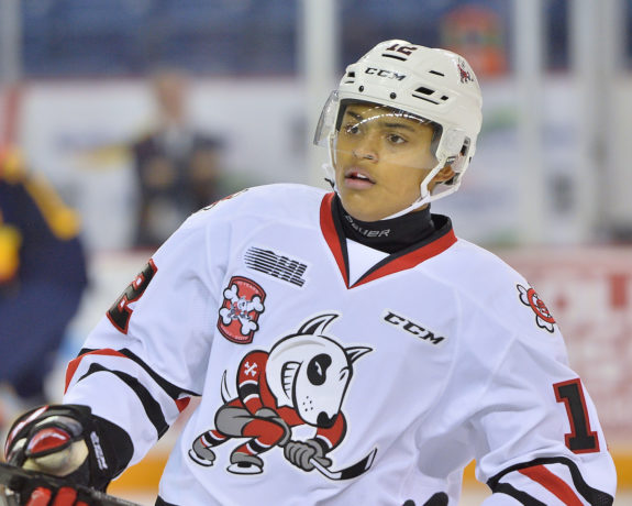 Akil Thomas, OHL, Niagara Icedogs, NHL Draft