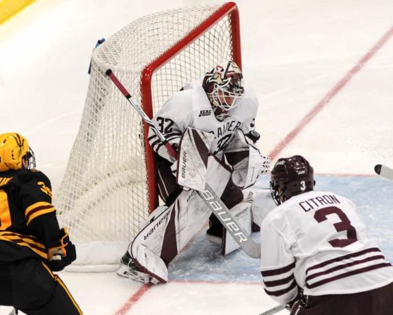 Colton Point Colgate goaltender