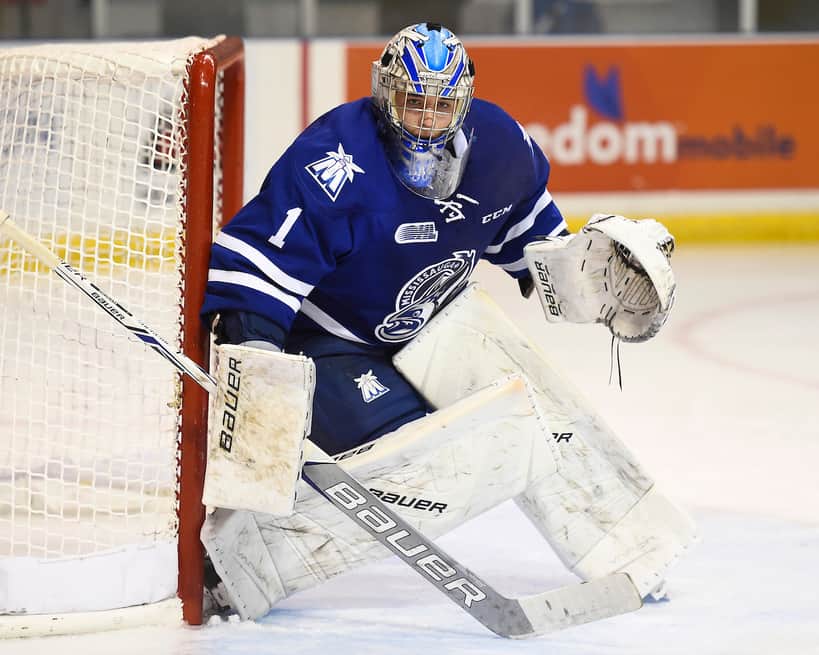 Civic-Minded Jacob Ingham Boosts Los Angeles Kings' Goalie Depth