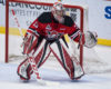 QMJHL's Top 5 Goalies