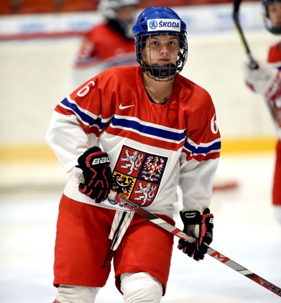 Aneta Cornová: Czech Defender With NWHL Dreams - The Hockey Writers ...