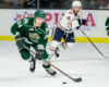Gianni Fairbrother - 2019 NHL Draft Prospect Profile