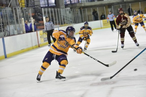 Shannon Strawinski Elmira College