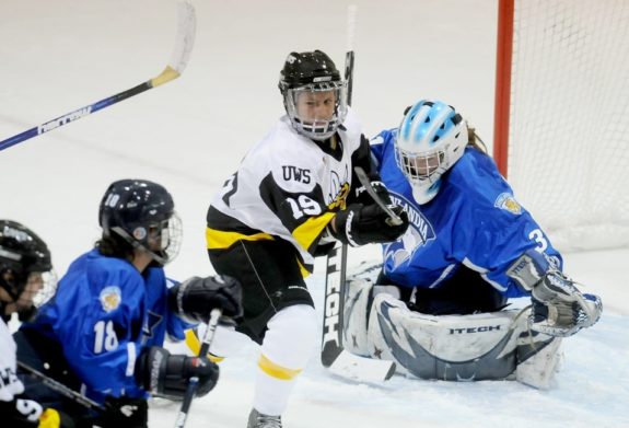 Ashley Birdsall UW-Superior Yellowjackets