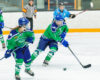Connecticut Whale Search for Consistency After Close Games in Buffalo