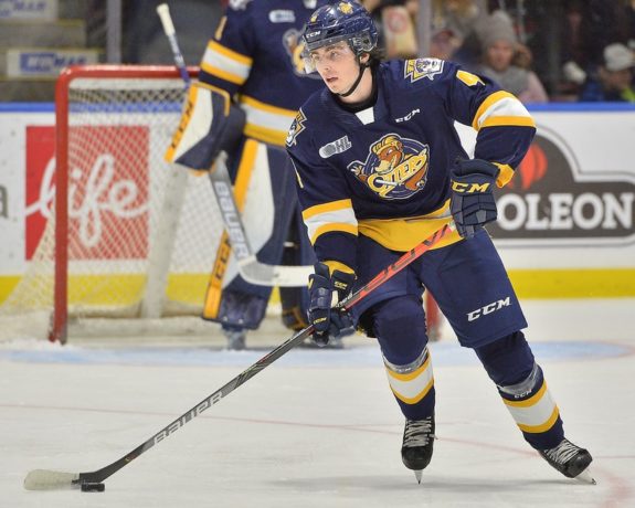 Jamie Drysdale, OHL, Erie Otters