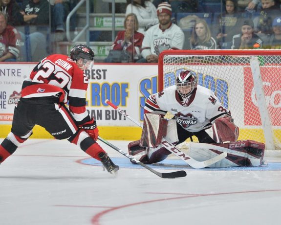 OHL, Nico Daws, Guelph Storm