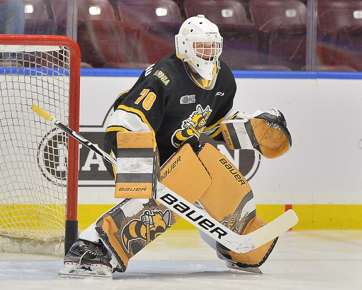 Benjamin Gaudreau Sarnia Sting