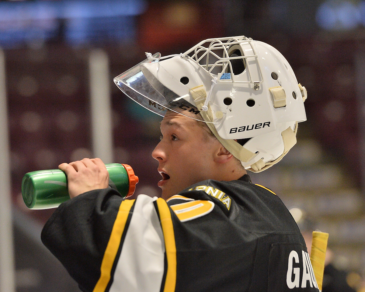 Benjamin Gaudreau Sarnia Sting